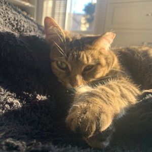 Meet your Posher, Sarah